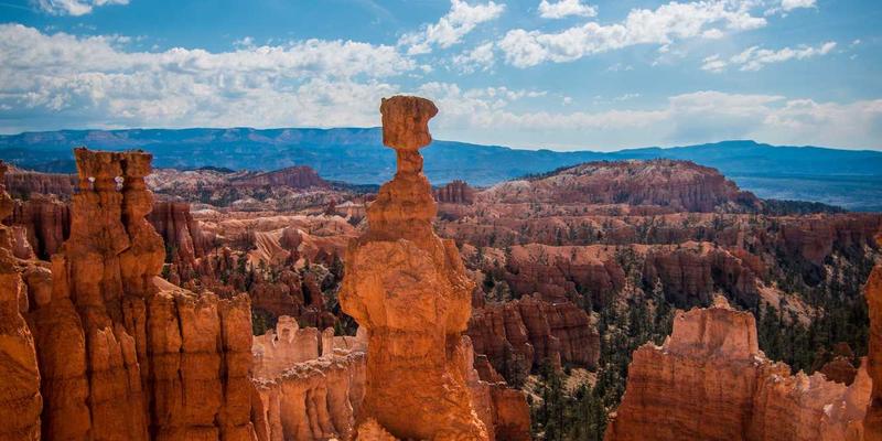 RRS多功能床品设计全解析：一床多用的可拆卸被套与床罩选购攻略