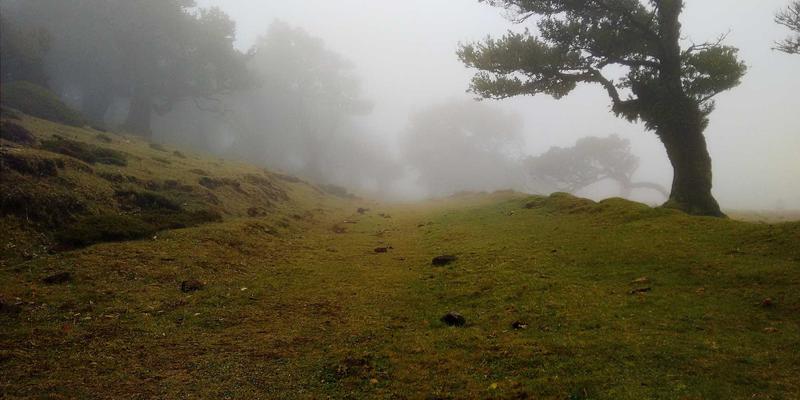 RRS床上用品60:融合科技面料与家居布艺的时尚睡眠革命