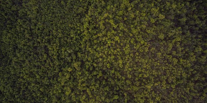 RRS床上用品84:融合科技面料与家居美学的睡眠革命