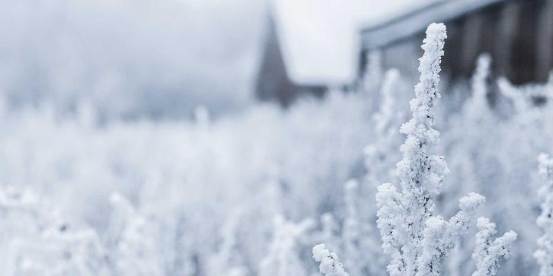 RRS床上用品全攻略：科技面料如何重塑你的睡眠体验