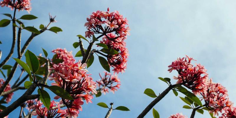 RRS床上用品前景展望：现代家纺如何引领家居布艺与时尚装饰新潮流