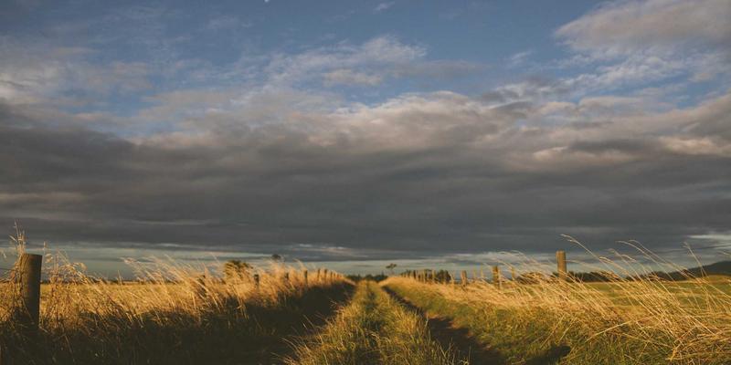RRS床上用品进阶指南:用床品家纺打造时尚家居装饰的艺术