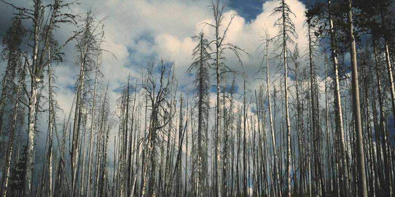 RRS科技面料床品：重新定义现代家纺的睡眠革命