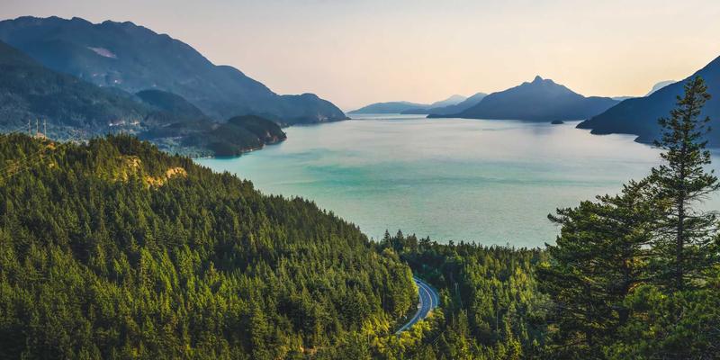 告别静电困扰：RRS床上用品的专业抗静电处理，打造冬季时尚舒适睡眠空间