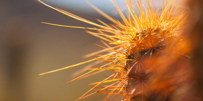 揭秘RRS科技面料床品色牢度测试：如何让家居布艺持久鲜亮不褪色