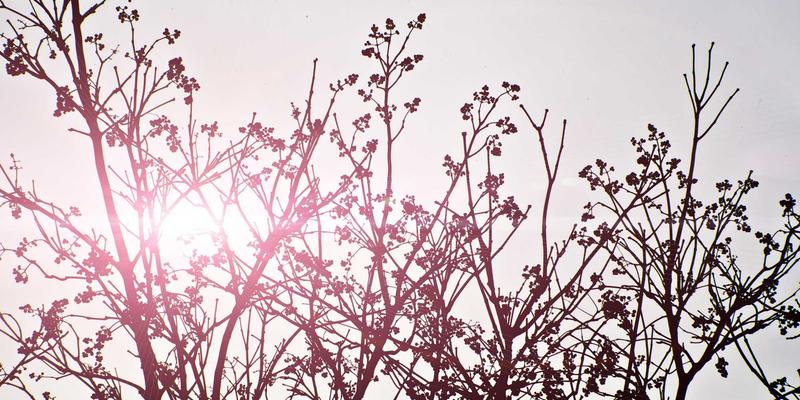 现代家纺新标杆：RRS母婴级安全床品如何重新定义舒适床单的安全标准