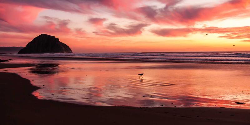 科技面料床品如何重塑睡眠节律？揭秘RRS床品触感对入睡速度与深度的影响