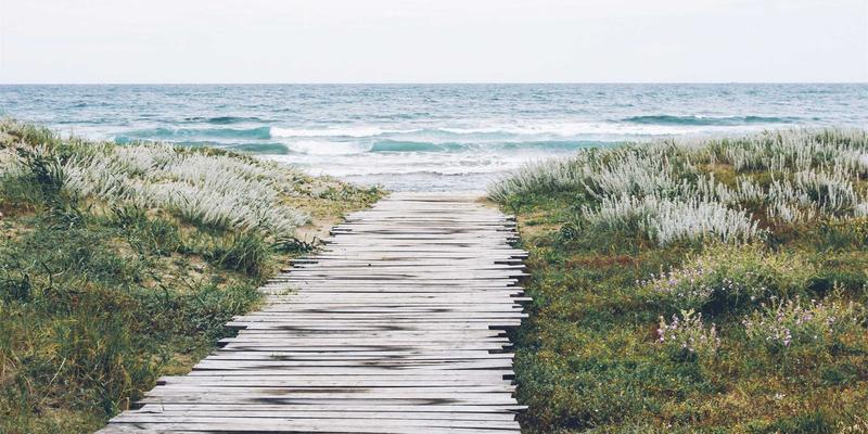 舒适床单新选择：揭秘RRS抗菌防螨床品原理与效果，守护宠物与幼儿家庭健康睡眠